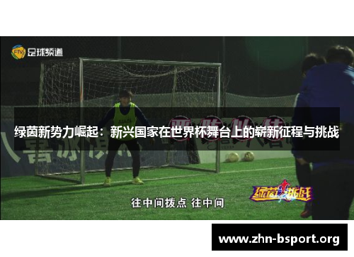 绿茵新势力崛起：新兴国家在世界杯舞台上的崭新征程与挑战