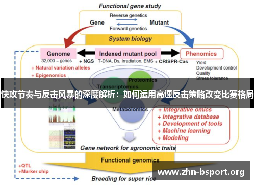 快攻节奏与反击风暴的深度解析：如何运用高速反击策略改变比赛格局