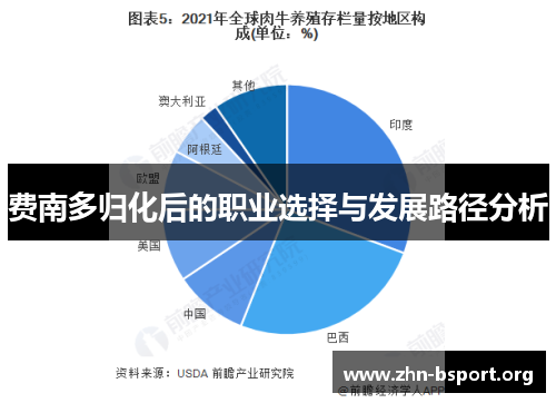 费南多归化后的职业选择与发展路径分析
